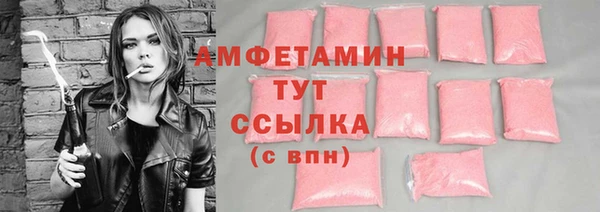 шишки Осинники