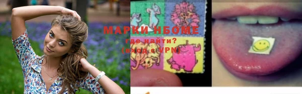 дживик Переславль-Залесский
