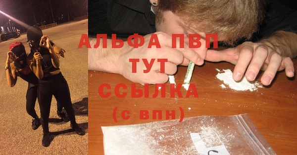 шишки Осинники