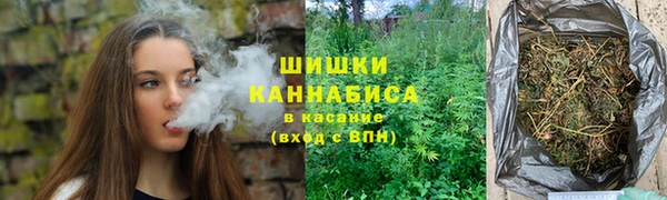 дживик Переславль-Залесский
