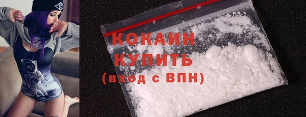 твердый Гвардейск
