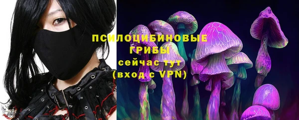 МДПВ Пестово