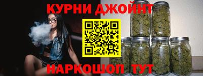 гидра Гатчина