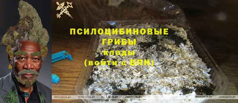 МЕГА ССЫЛКА  купить наркотик  Зима  Галлюциногенные грибы мицелий 