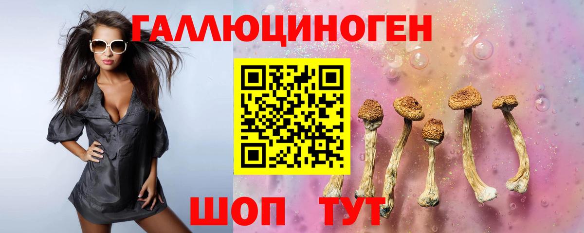 Зима  цены   Вход с VPN  Псилоцибиновые грибы Magic Shrooms 