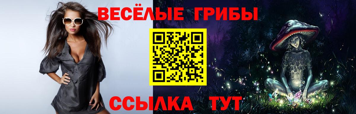 Псилоцибиновые грибы GOLDEN TEACHER  Зима 